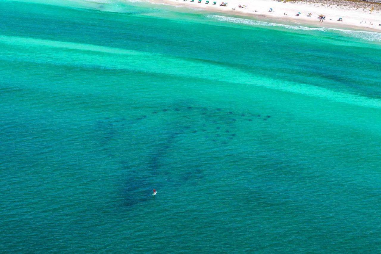 Vila Stella Di Mare Destin Exteriér fotografie